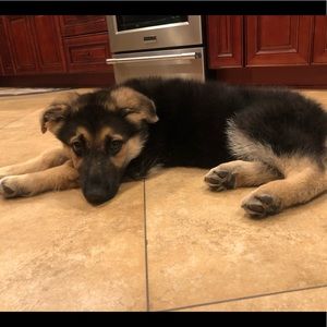 Meet your Posher, Elyssa